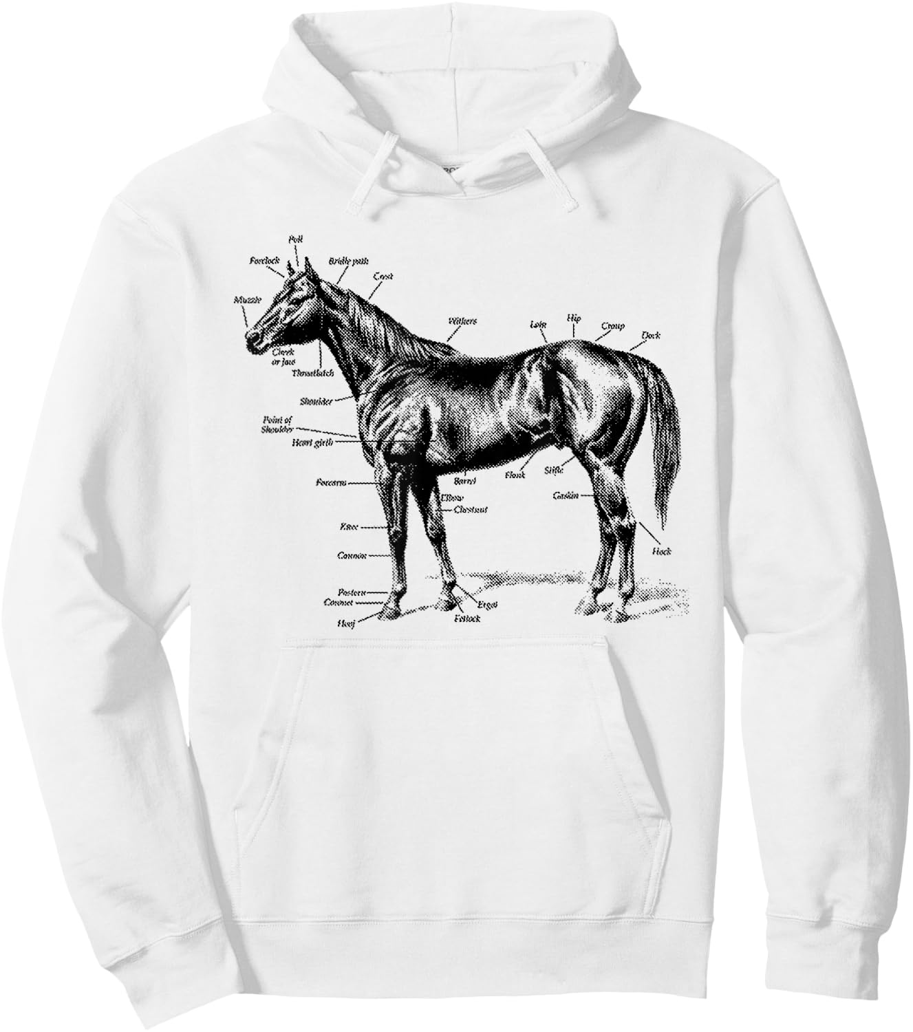 Big Texas Anatomy of a Horse Hoodie - Hoodie | White