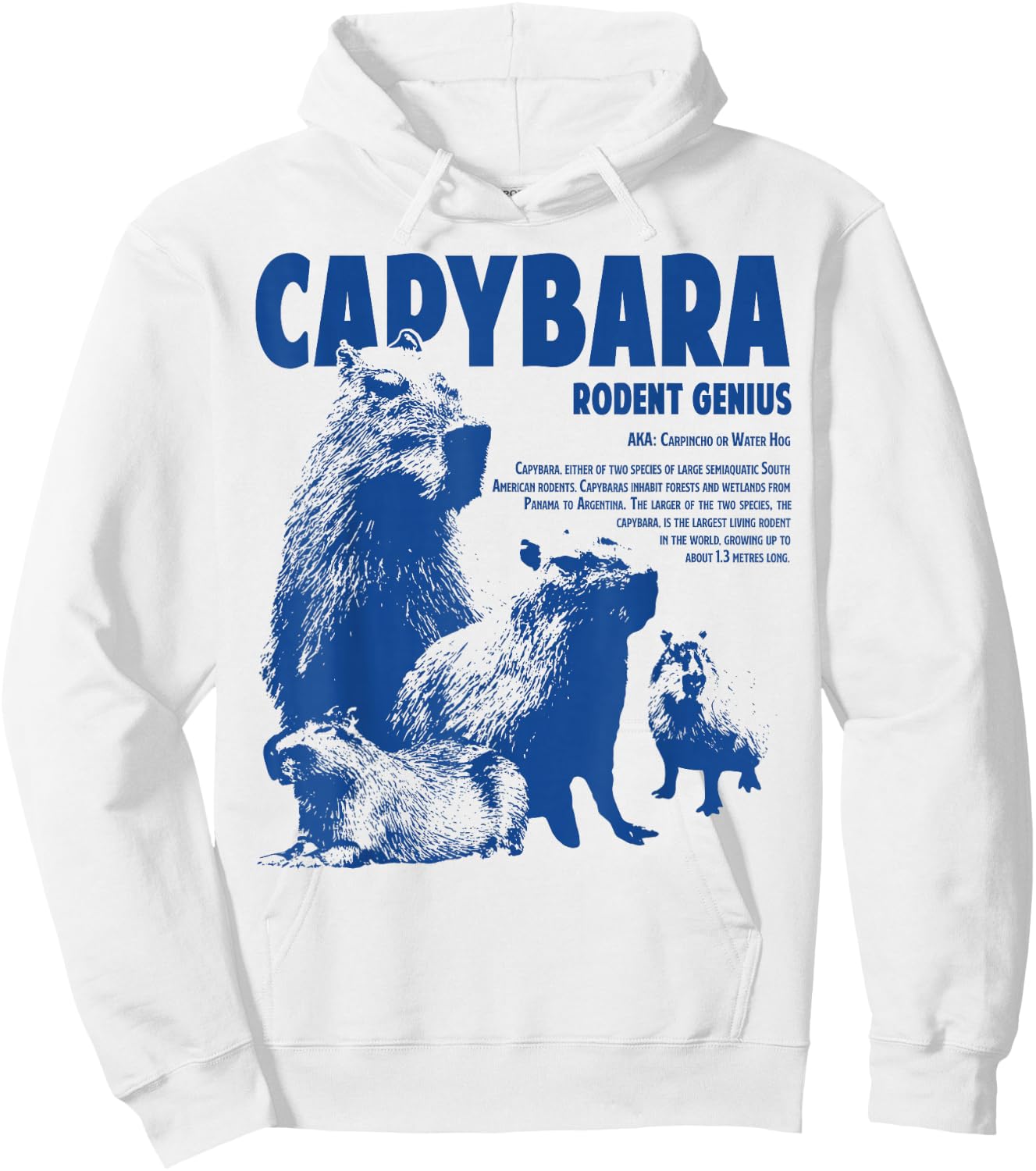 Capybara Rodent Genius Funny Information For Capybara Lover Hoodie - Hoodie | White