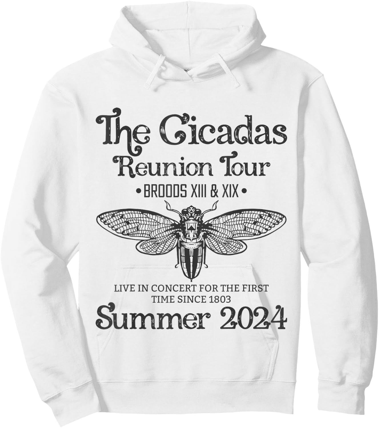 The Cicada Reunion U.S Tour 2024 Cicada Concert Fest Lover Hoodie - Hoodie | White
