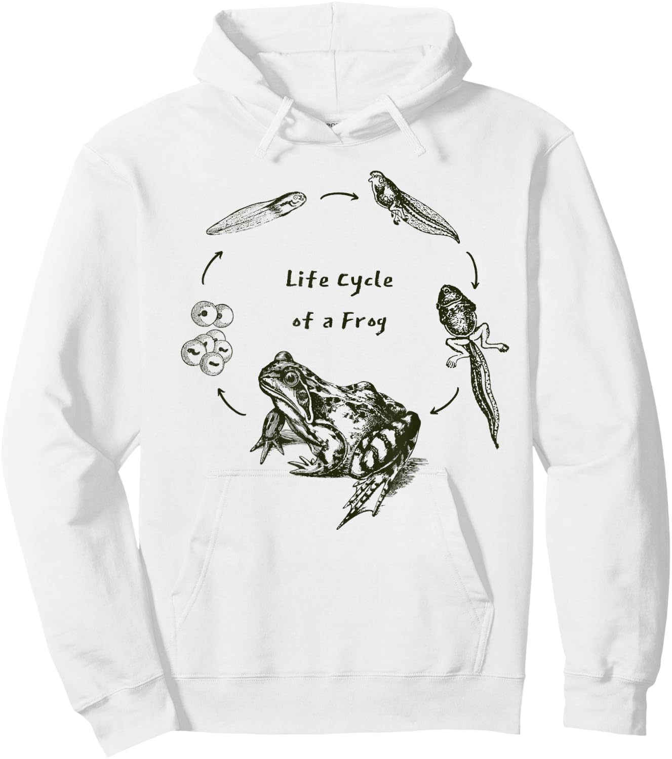 Frog Toad Life Cycle Biology Teacher Vintage Science Hoodie - Hoodie | White