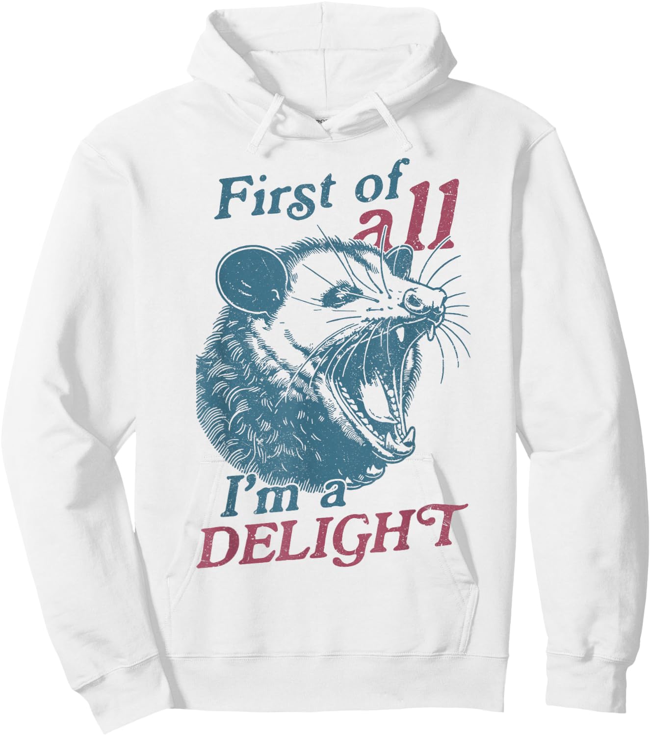 First Of All I'm A Delight Sarcastic Angry Opossum Lover Hoodie - Hoodie | White