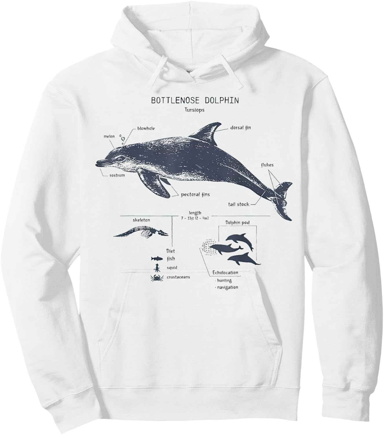 Bottlenose Dolphin Anatomy Marine Biology Hoodie - Hoodie | White