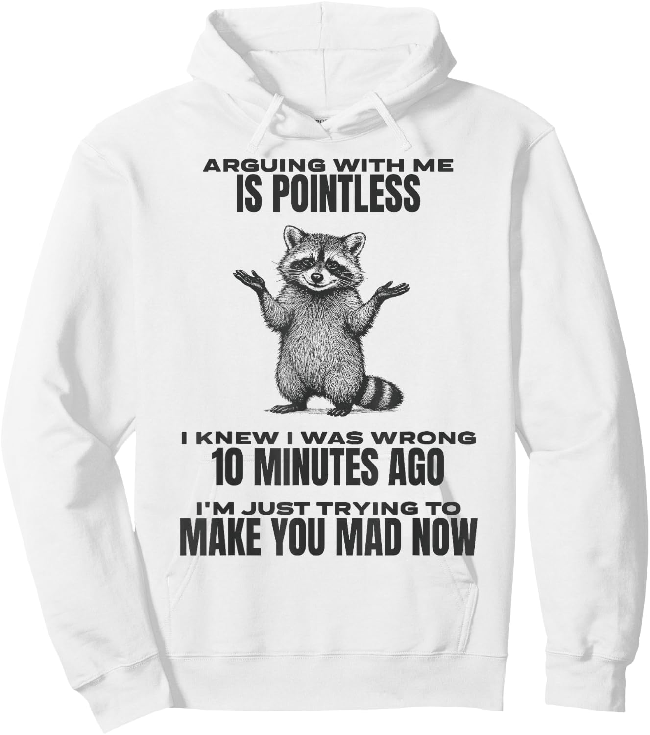 Arguing With Me Is Pointless Raccoon Funny Sarcastic Meme Hoodie - Hoodie | White