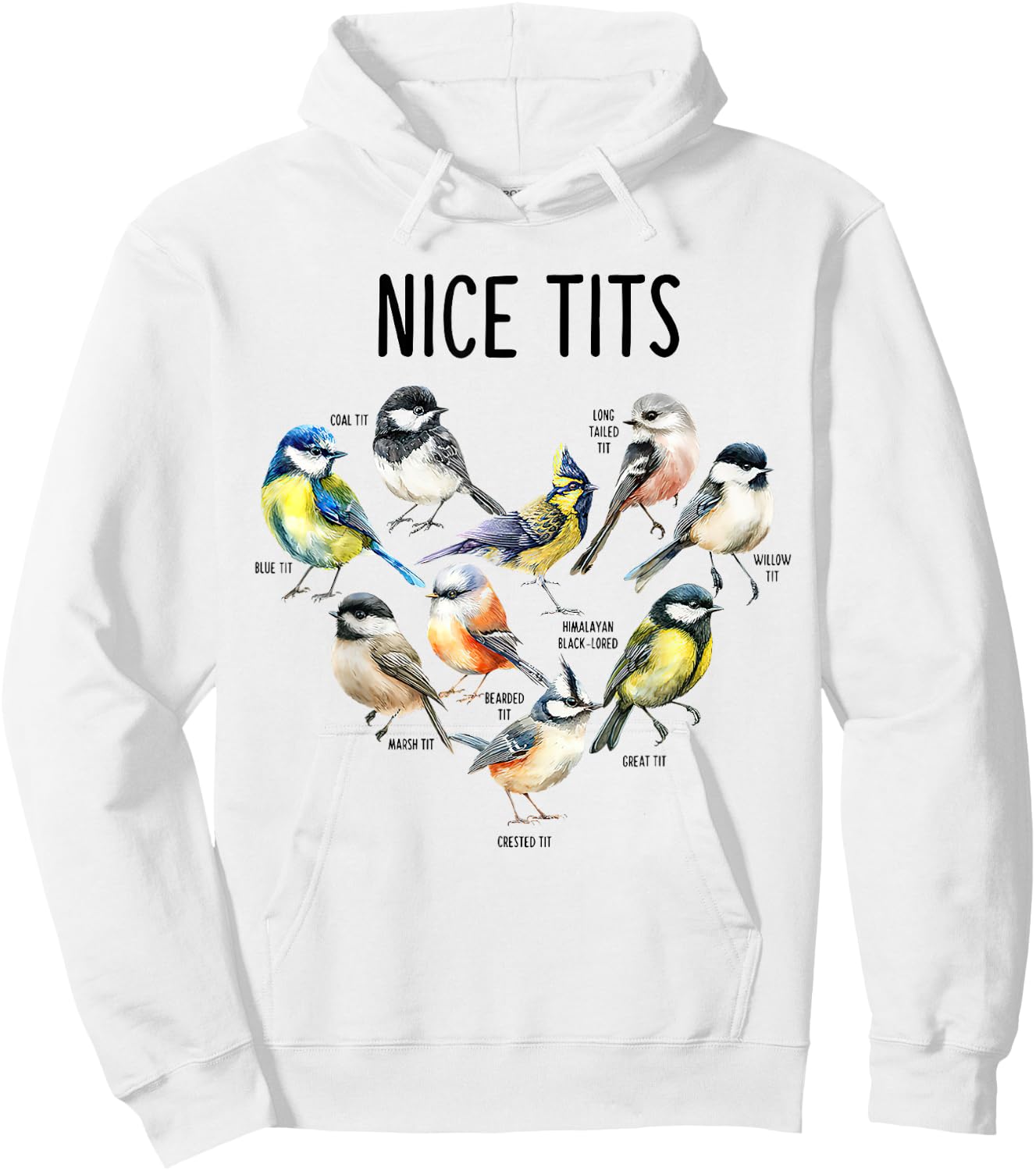 Retro Funny Nice Tits Birds Birdwatcher Bird Watching Humor Hoodie - Hoodie | White