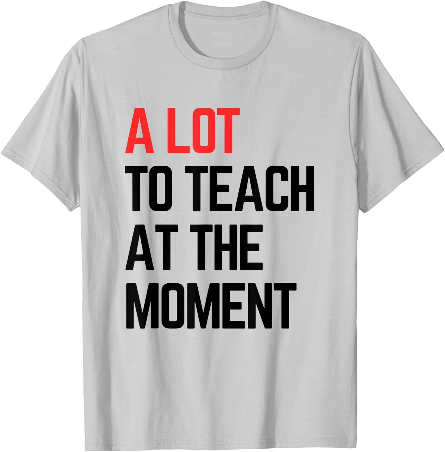 A Lot to Teach at The Moment Vibes, Inspiring Lessons Moment T-Shirt - T-Shirt | Ash