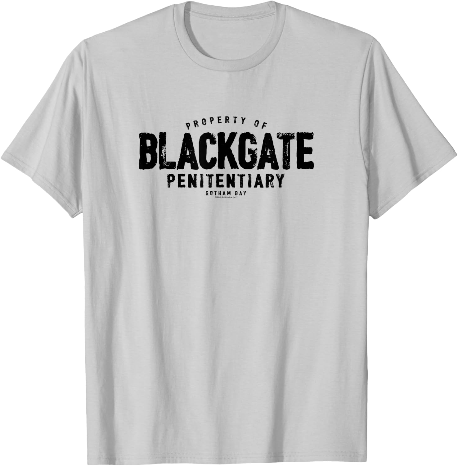 Batman Blackgate Penitentiary T-Shirt - T-Shirt | Ash