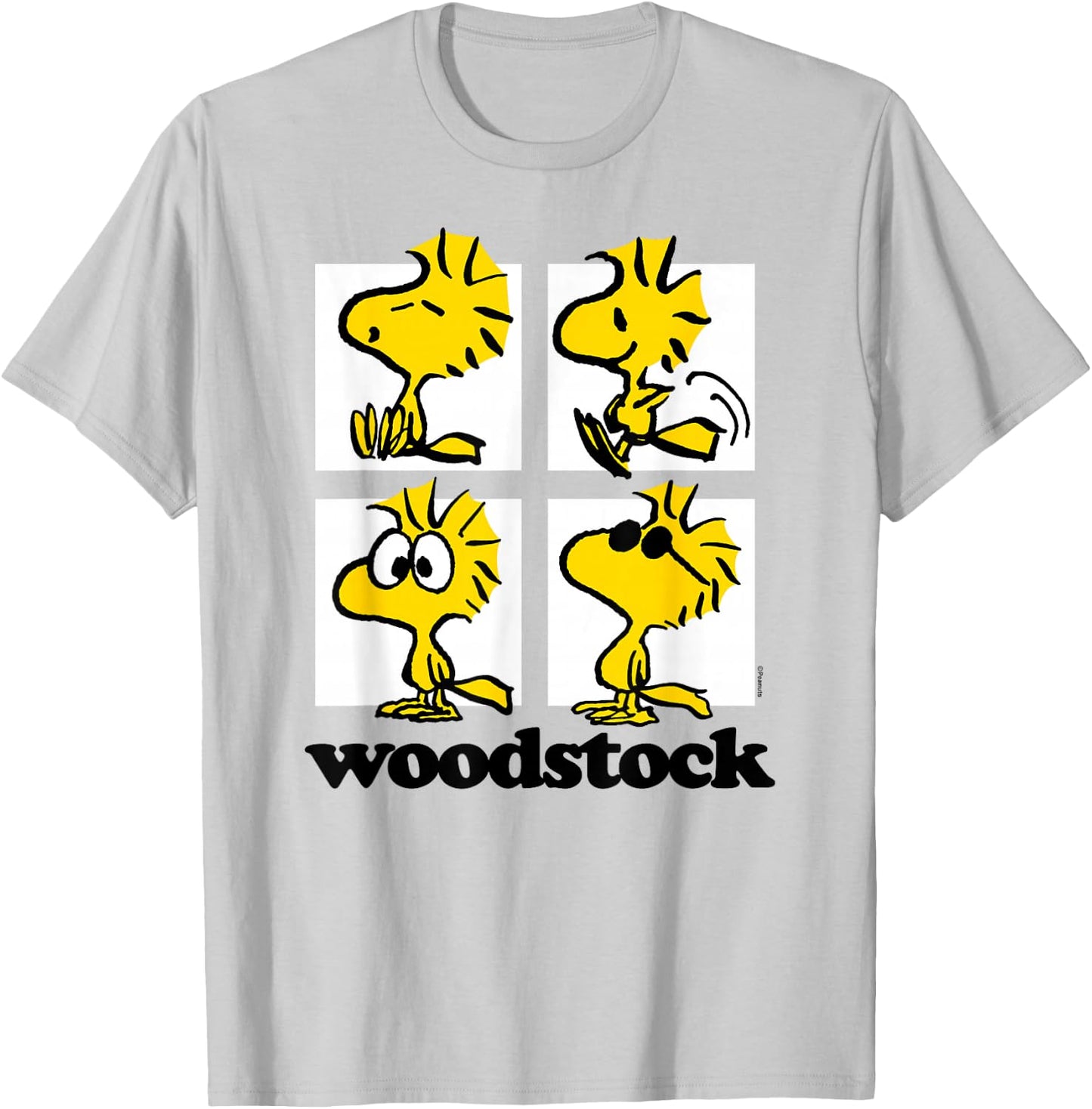 Peanuts - Woodstock Grid T-Shirt - T-Shirt | Ash
