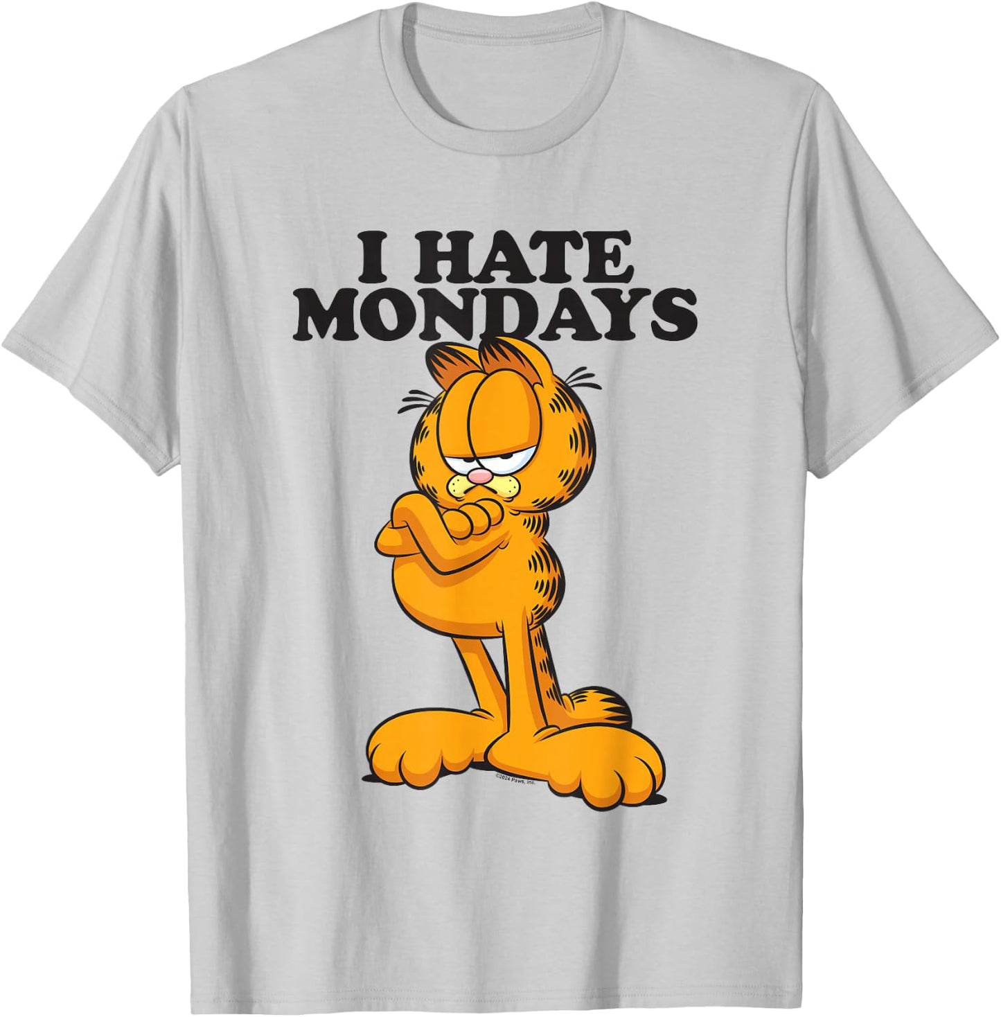 Garfield I Hate Mondays T-Shirt - T-Shirt | Ash