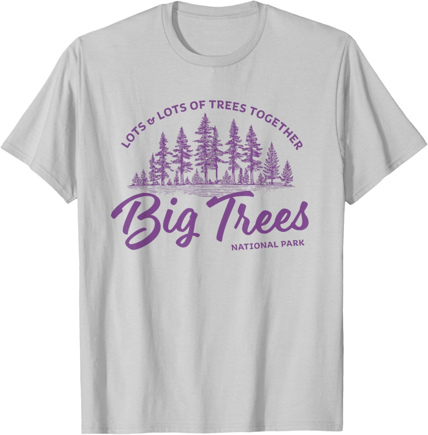 Big Trees Park - Hanson Band Fan Concert Tour Wear T-Shirt - T-Shirt | Ash