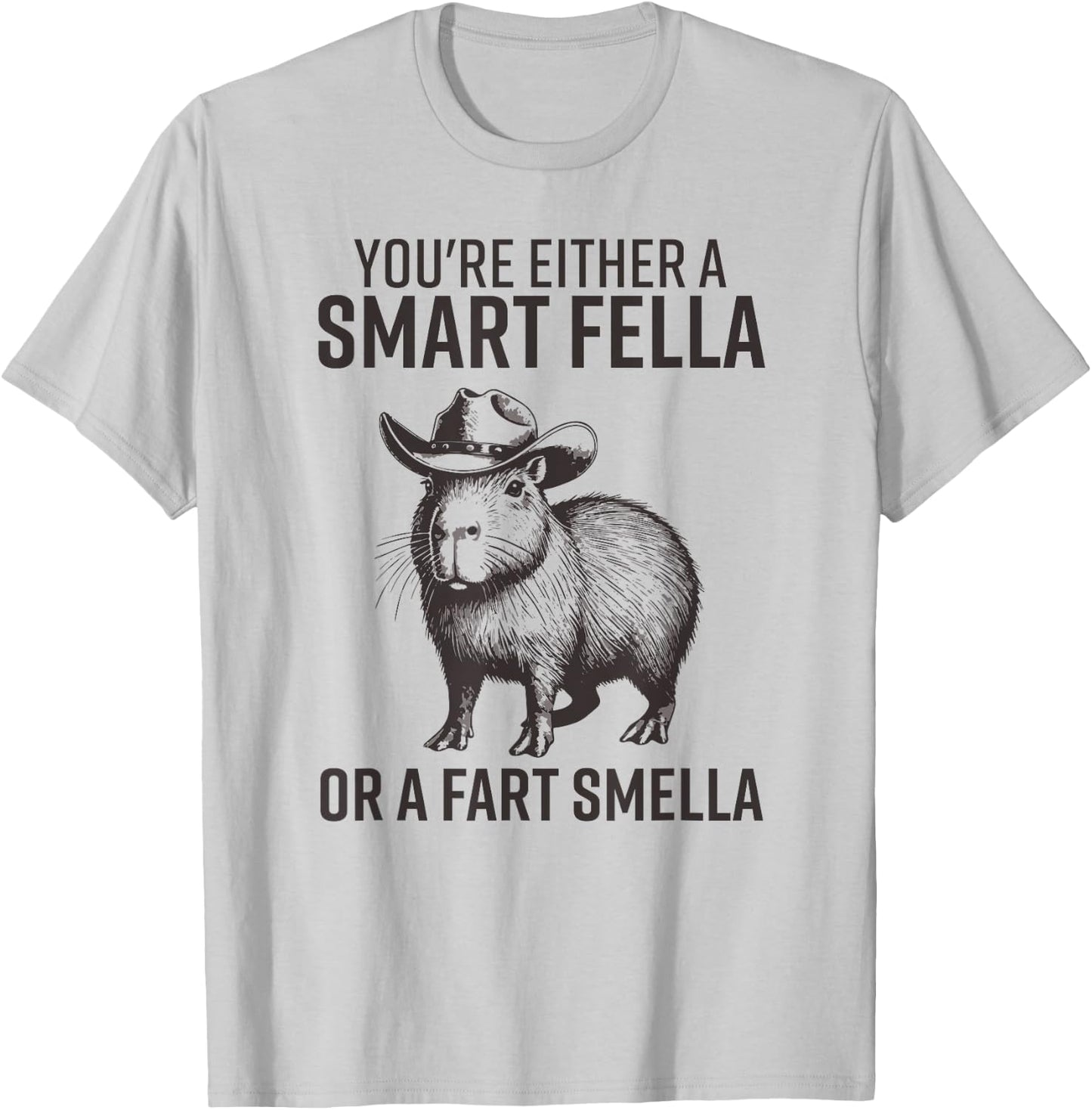 You're Either A Smart Fella Or A Fart Smella Funny Capybara T-Shirt - T-Shirt | Ash