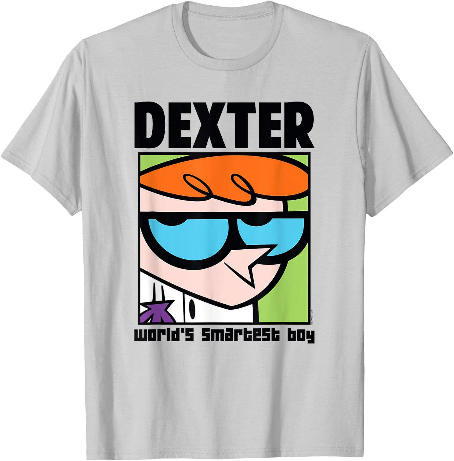 Dexter's Laboratory World's Smartest Boy Cartoon T-Shirt - T-Shirt | Ash
