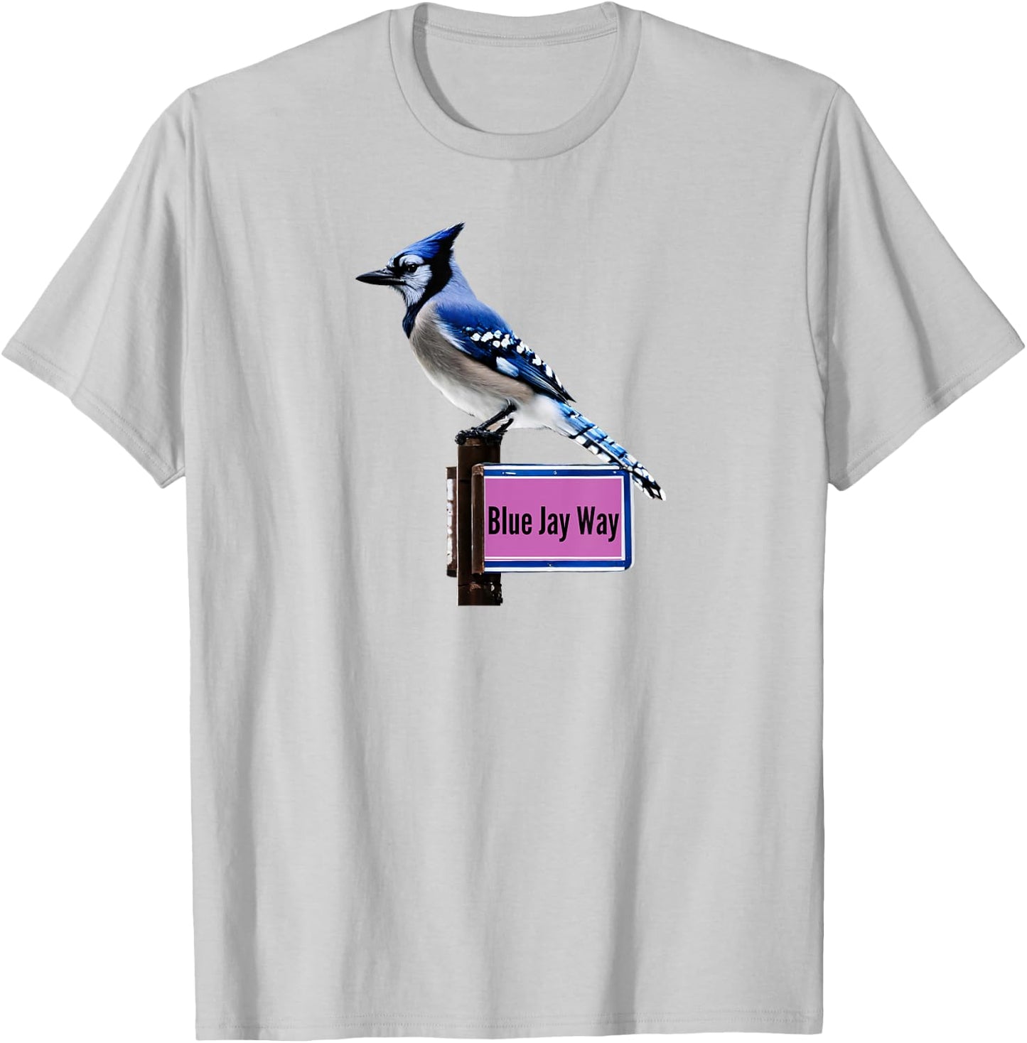 Blue Jay Way T-Shirt - T-Shirt | Ash