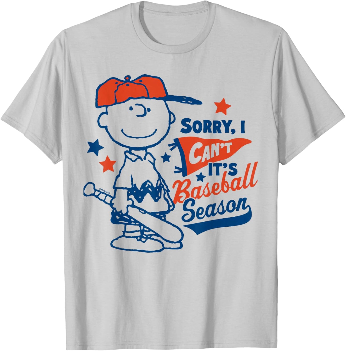 Peanuts - Charlie Brown Baseball Season T-Shirt - T-Shirt | Ash