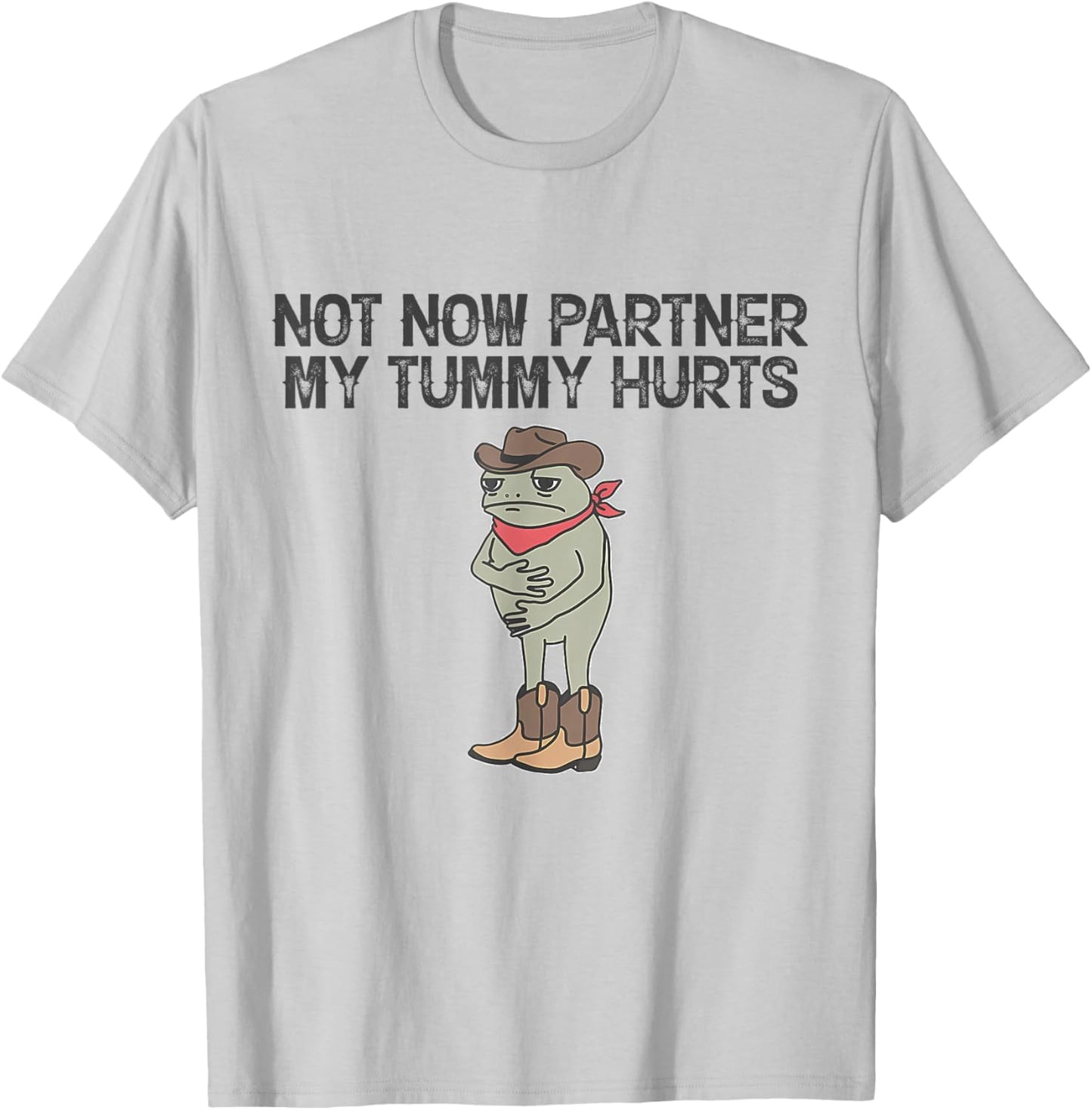 Not Now Partner My Tummy Hurts Funny Quote T-Shirt - T-Shirt | Ash