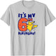 Pokémon Pikachu It's My 6th Birthday Awesome Celebration T-Shirt - T-Shirt | Ash