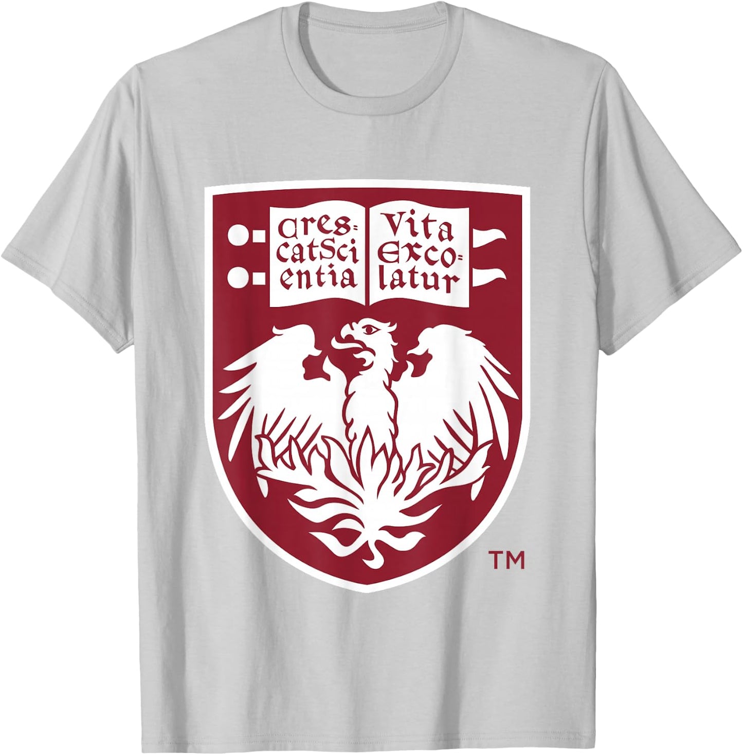 Chicago Maroons Icon Gray Officially Licensed T-Shirt - T-Shirt | Ash