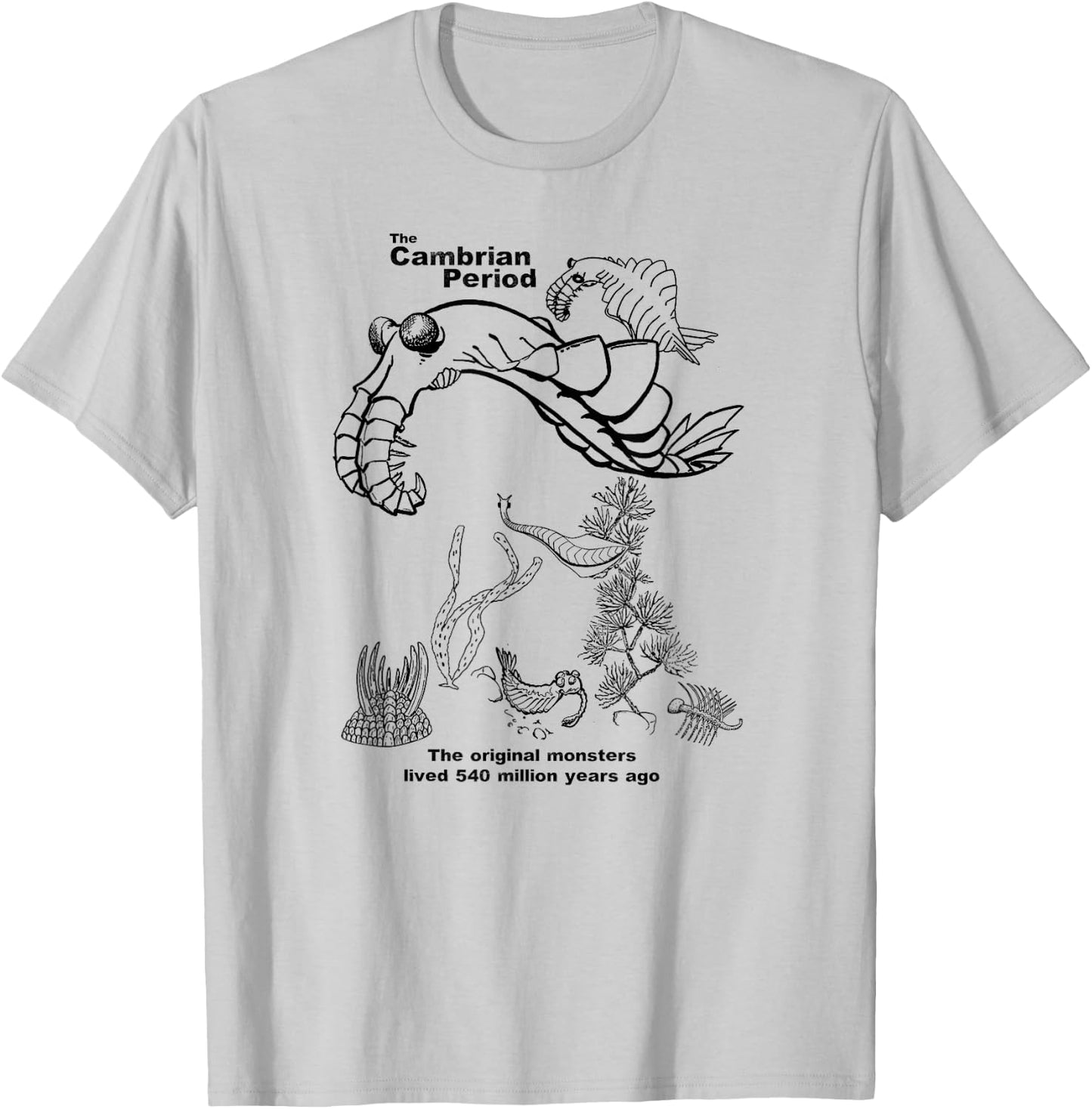 Cambrian Period T-Shirt - T-Shirt | Ash