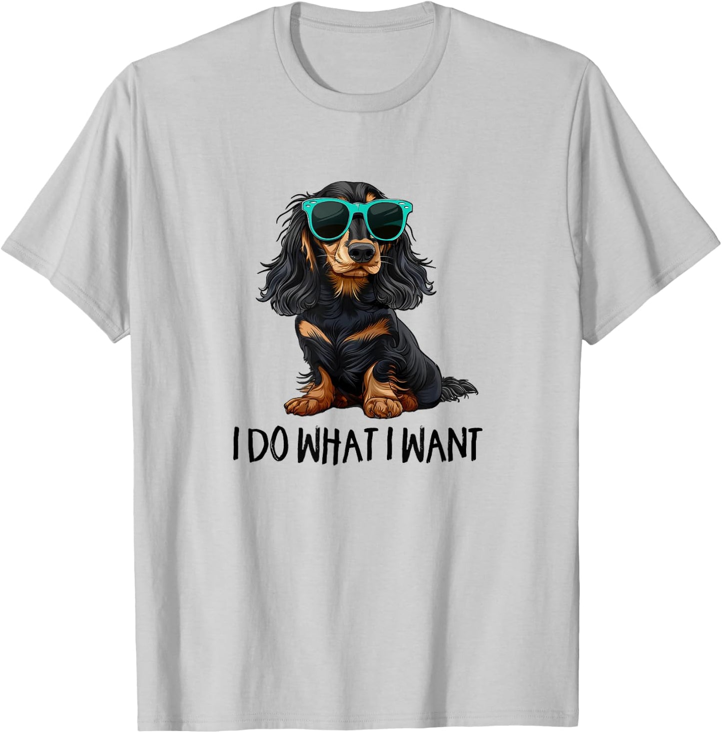 Funny Do What I Want Black Long Haired Dachshund Lover T-Shirt - T-Shirt | Ash