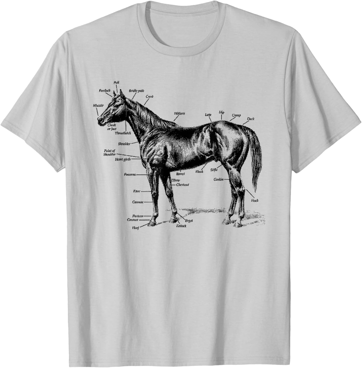 Big Texas Anatomy of a Horse T-Shirt - T-Shirt | Ash
