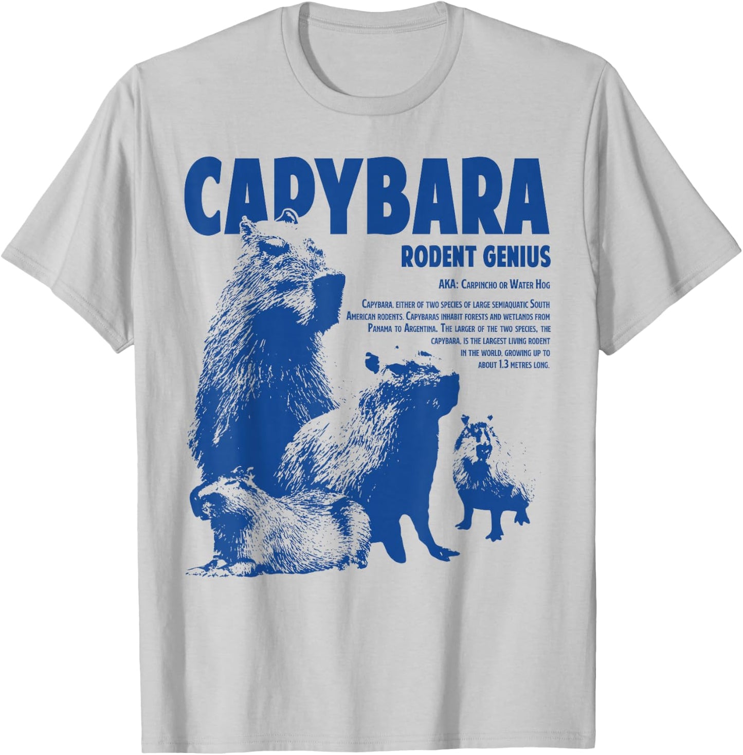Capybara Rodent Genius Funny Information For Capybara Lover T-Shirt - T-Shirt | Ash