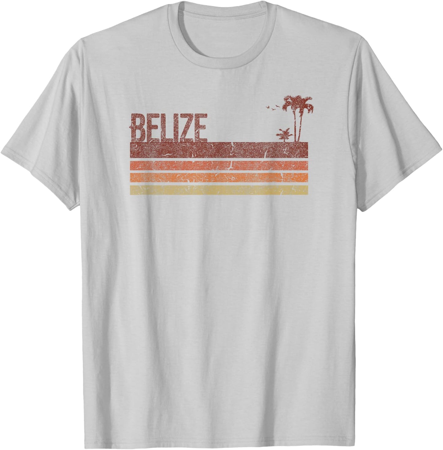 Belize Vintage 70s 80s Vacation T-Shirt - T-Shirt | Ash