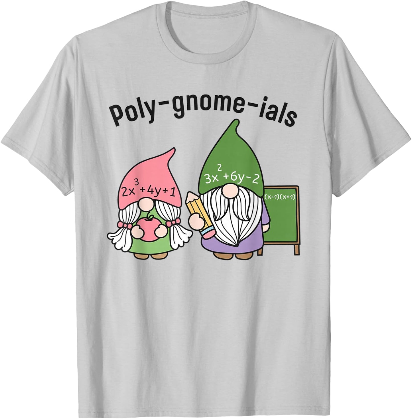 Funny Math Teacher Poly-gnome-ials Algebra Teacher Calculus T-Shirt - T-Shirt | Ash