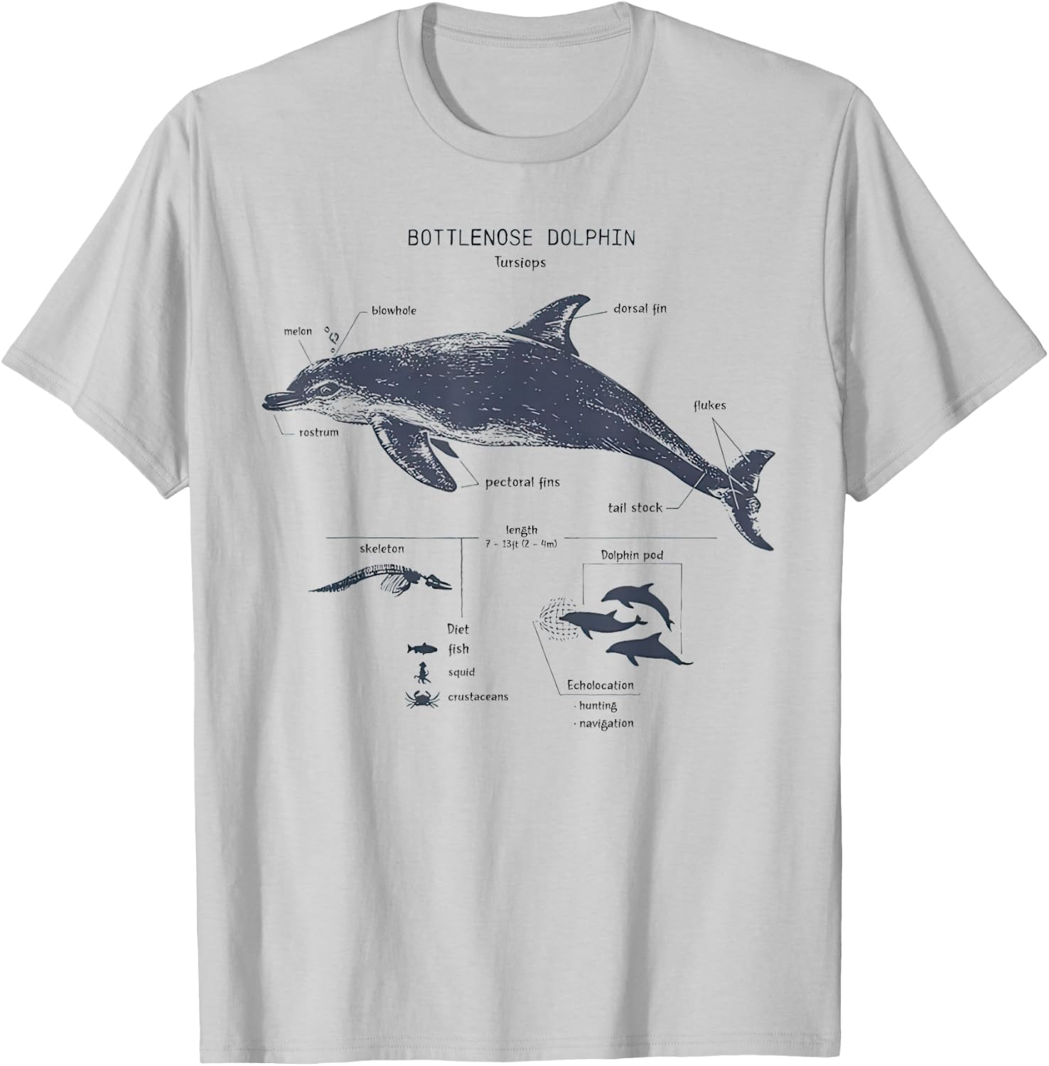 Bottlenose Dolphin Anatomy Marine Biology T-Shirt - T-Shirt | Ash