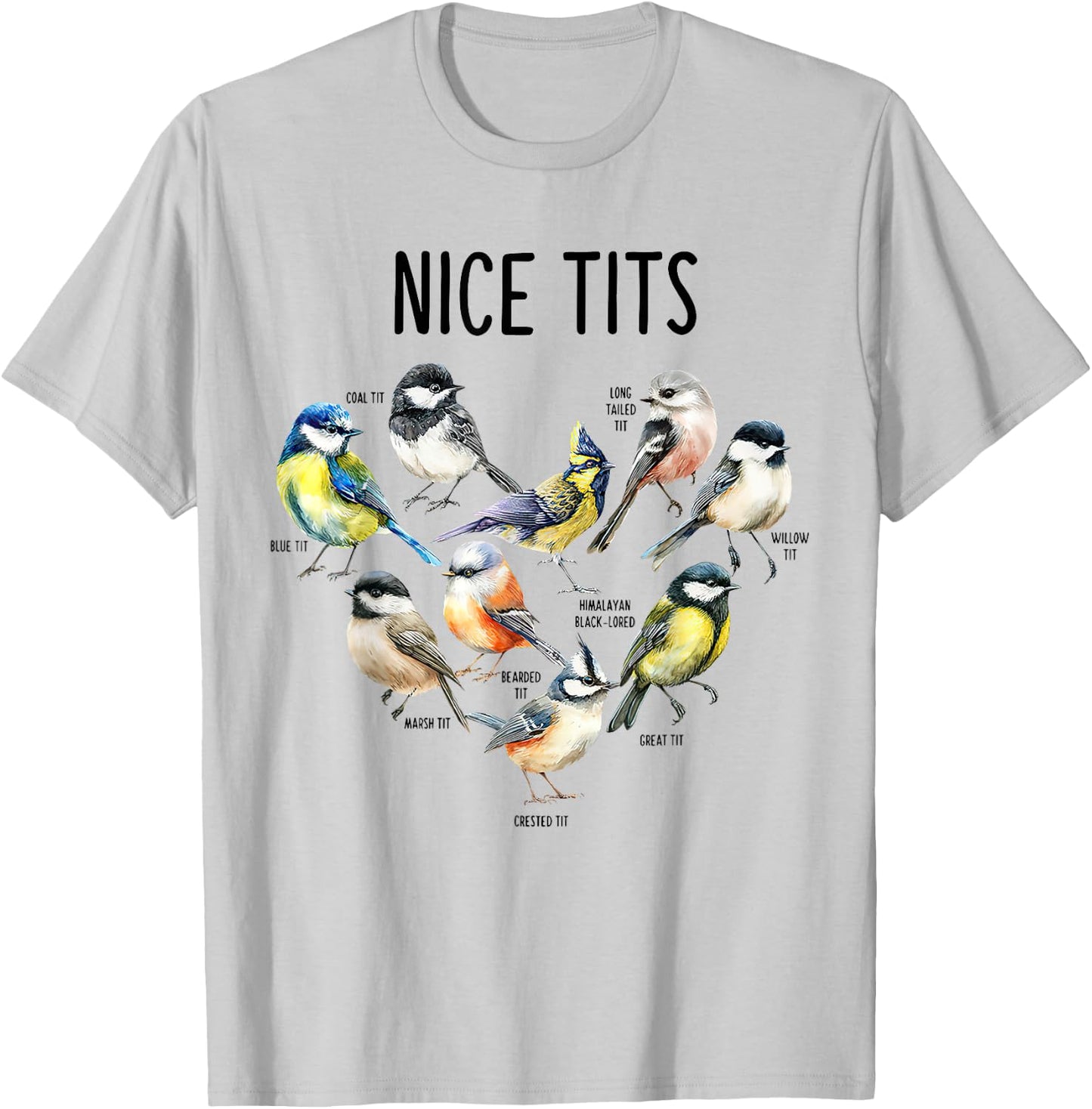 Retro Funny Nice Tits Birds Birdwatcher Bird Watching Humor T-Shirt - T-Shirt | Ash