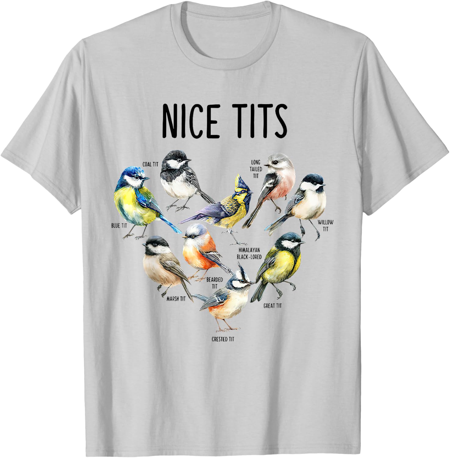 Retro Funny Nice Tits Birds Birdwatcher Bird Watching Humor T-Shirt - T-Shirt | Ash