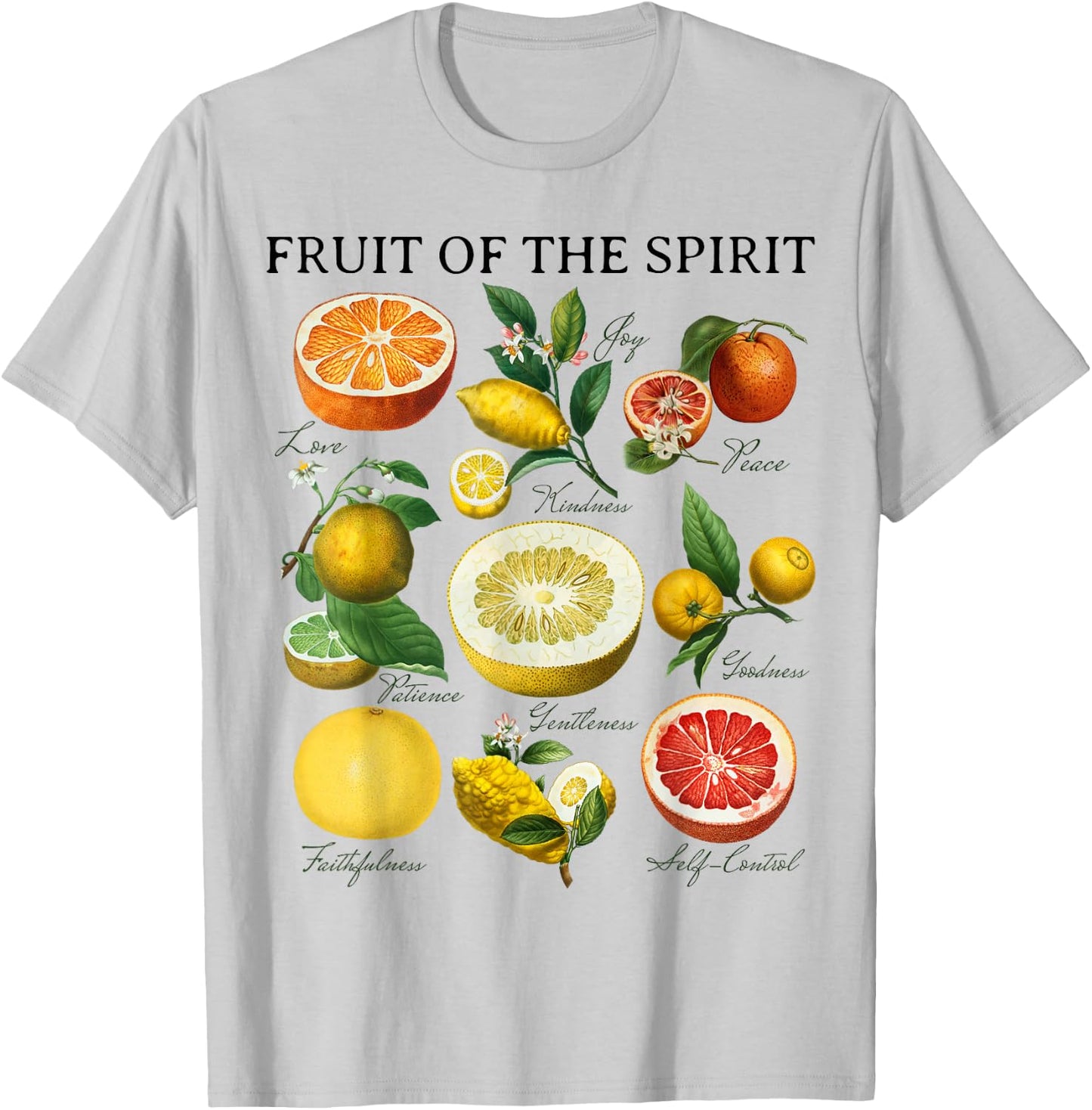 Fruit of the Spirit Galatians 5:22 Christian Bible Scripture T-Shirt - T-Shirt | Ash