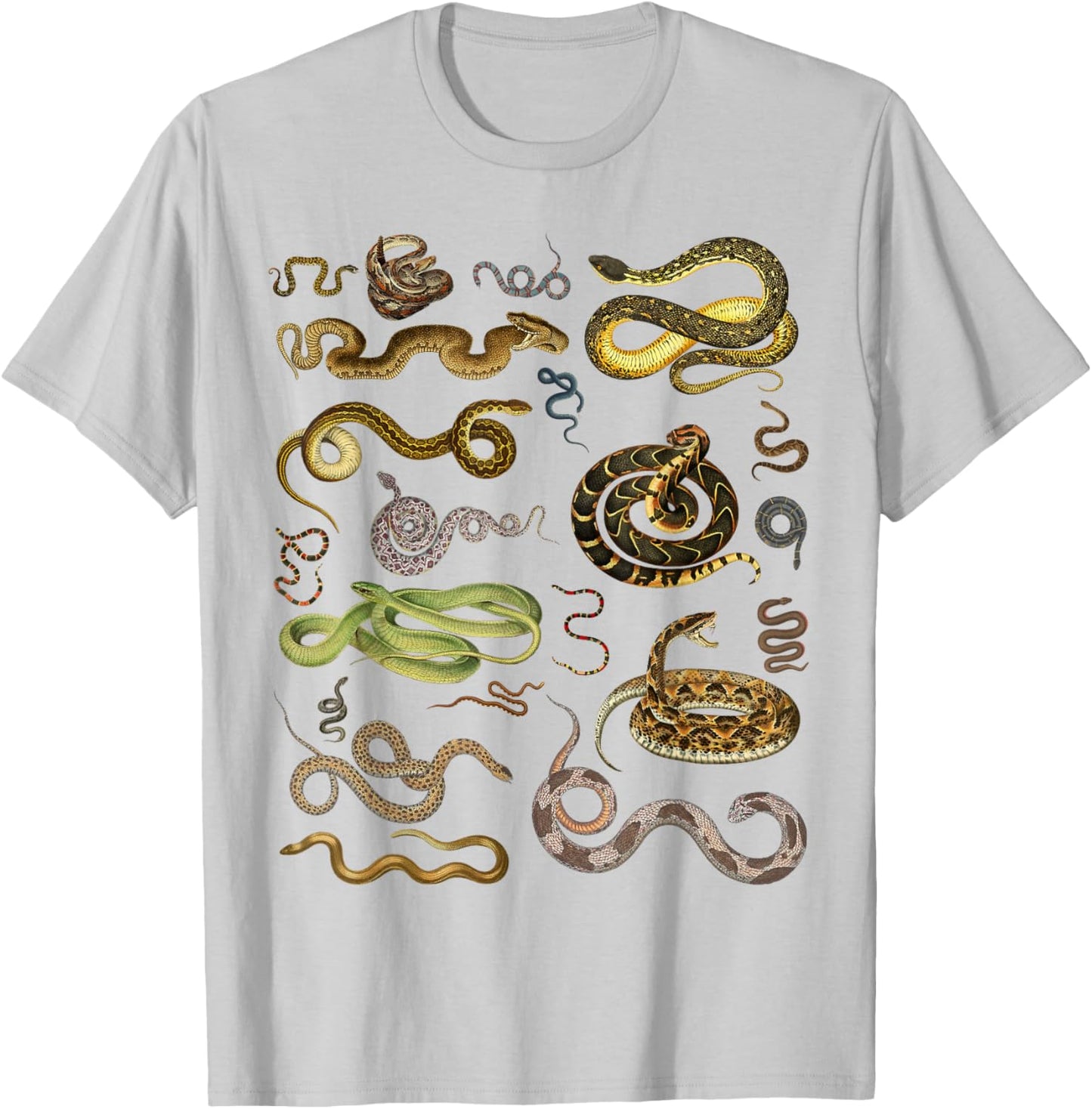 Types Of Snakes Educational Herpetologist Kids Boys Girls T-Shirt - T-Shirt | Ash