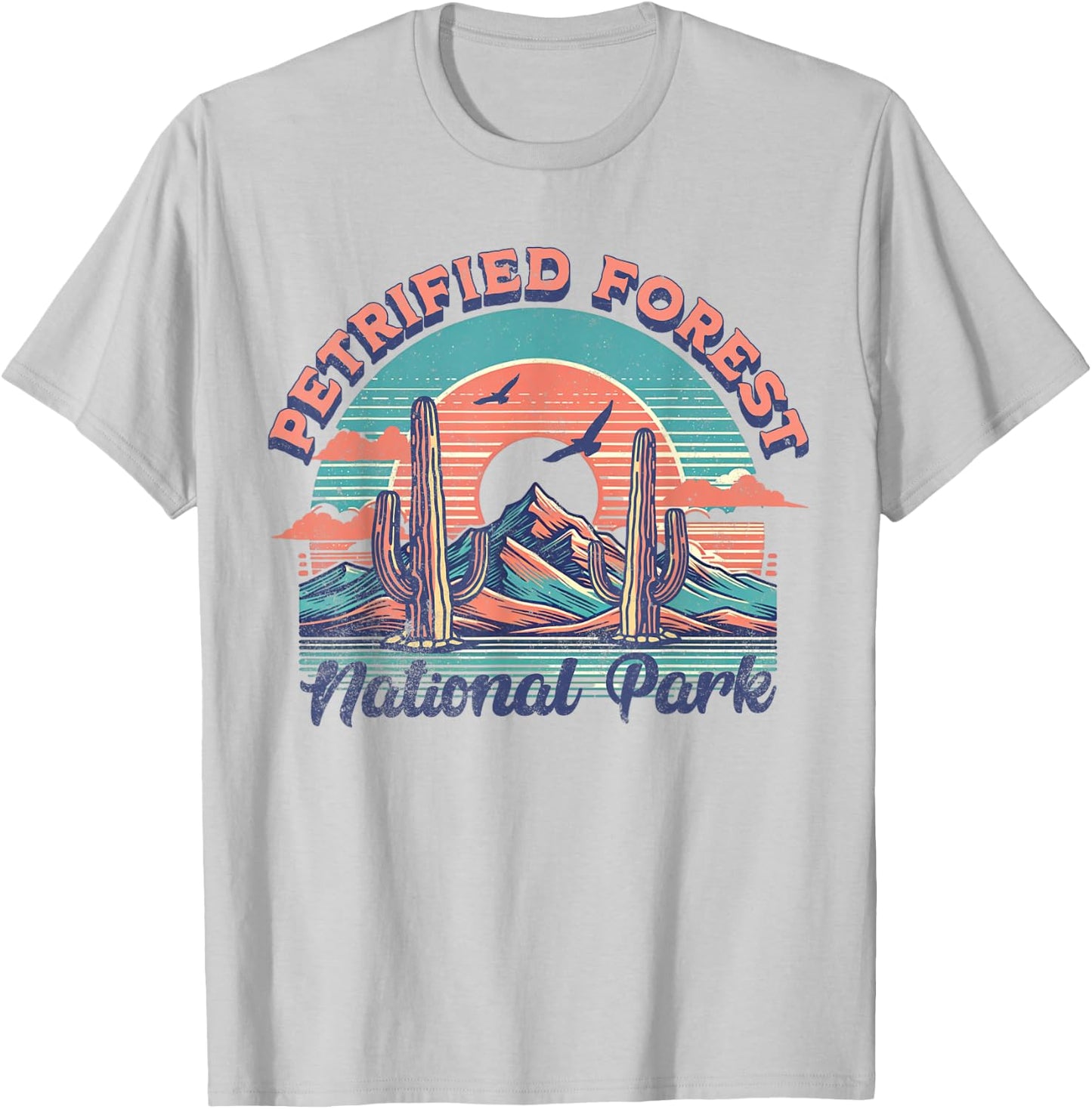 Petrified Forest National Park T-Shirt - T-Shirt | Ash