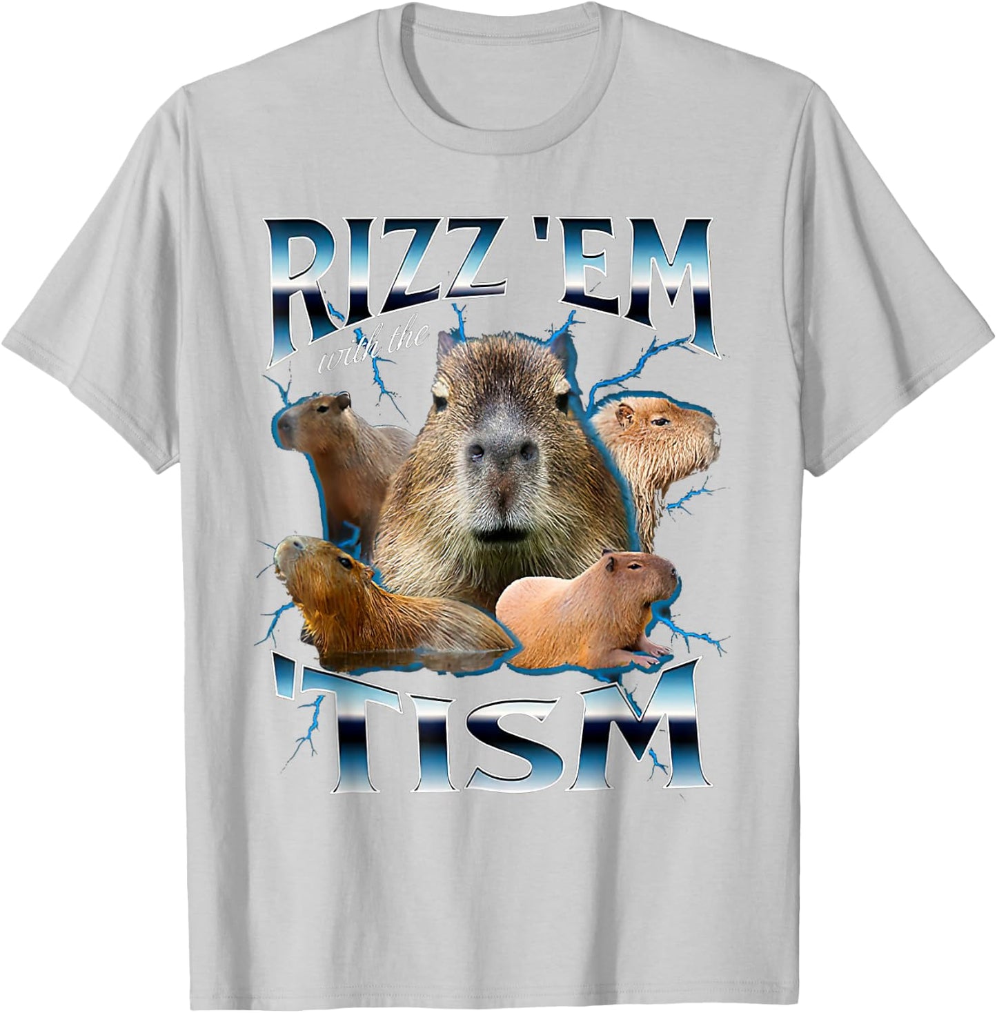 Rizz Em With The Tism Capybara Funny Oddly Dank Meme T-Shirt - T-Shirt | Ash