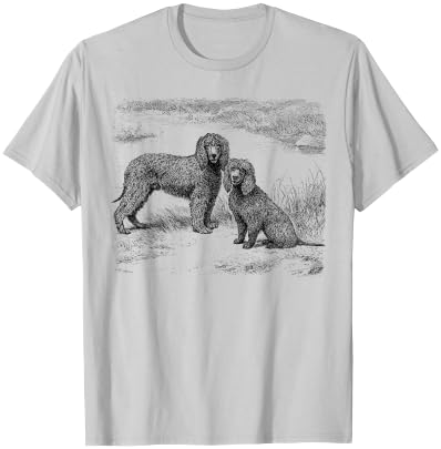 Irish Water Spaniel vintage Irish Water Spaniels T-Shirt - T-Shirt | Ash
