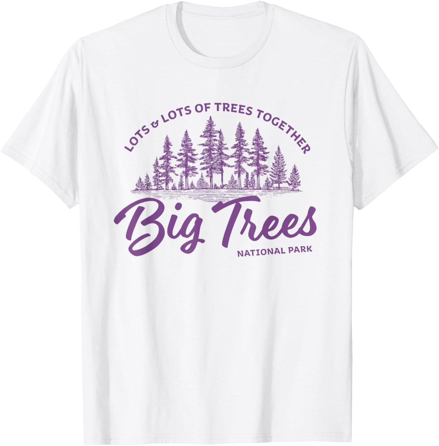 Big Trees Park - Hanson Band Fan Concert Tour Wear T-Shirt - T-Shirt | White