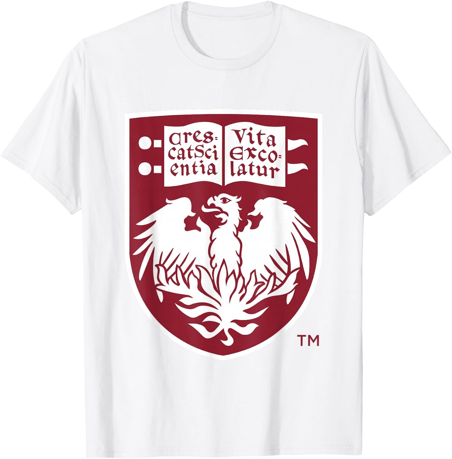Chicago Maroons Icon Gray Officially Licensed T-Shirt - T-Shirt | White