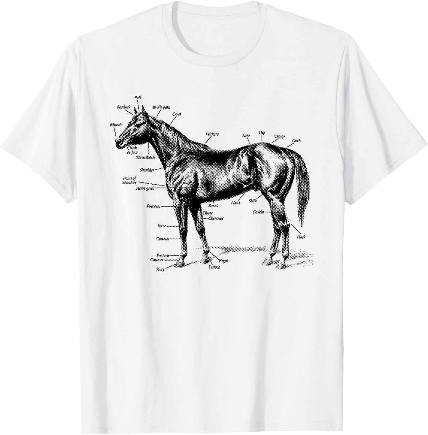 Big Texas Anatomy of a Horse T-Shirt - T-Shirt | White