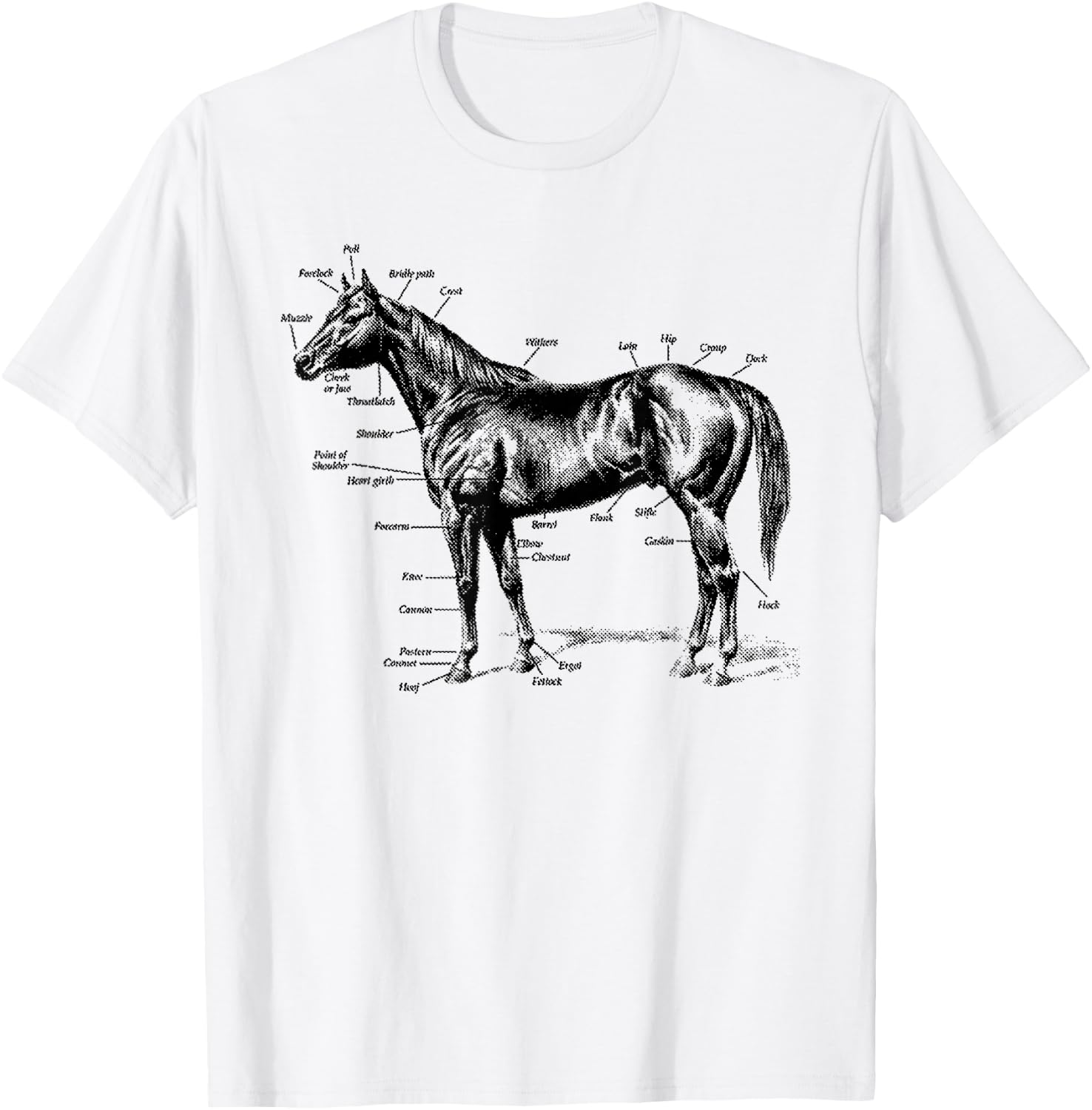 Big Texas Anatomy of a Horse T-Shirt - T-Shirt | White