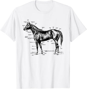Big Texas Anatomy of a Horse T-Shirt - T-Shirt | White