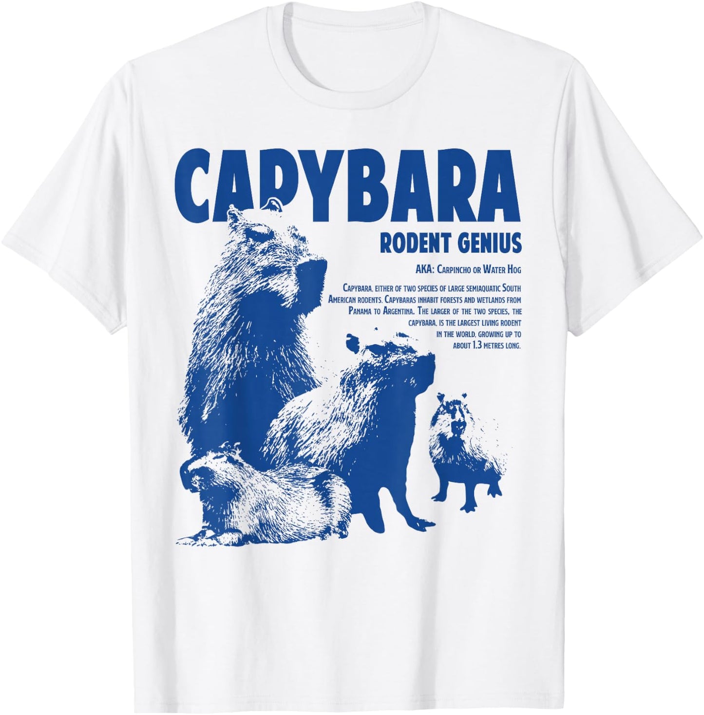 Capybara Rodent Genius Funny Information For Capybara Lover T-Shirt - T-Shirt | White