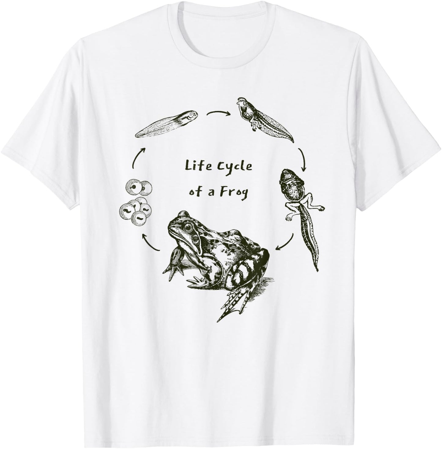 Frog Toad Life Cycle Biology Teacher Vintage Science T-Shirt - T-Shirt | White