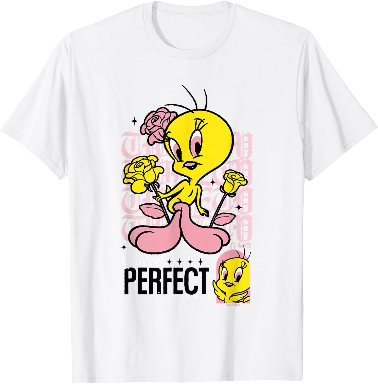 Looney Tunes Tweety Bird You're Perfect in Every Way Retro T-Shirt - T-Shirt | White