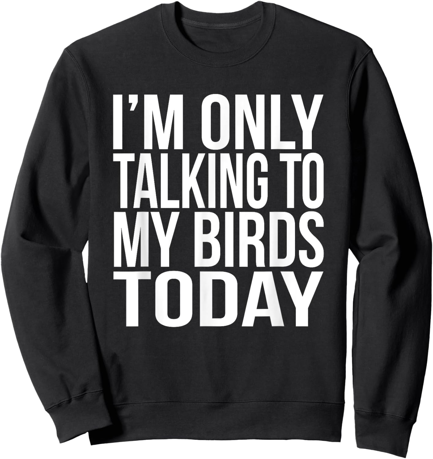 I'm Only Talking To My Birds Today Gift A Pet Bird Lover Sweatshirt - Sweatshirt | Black