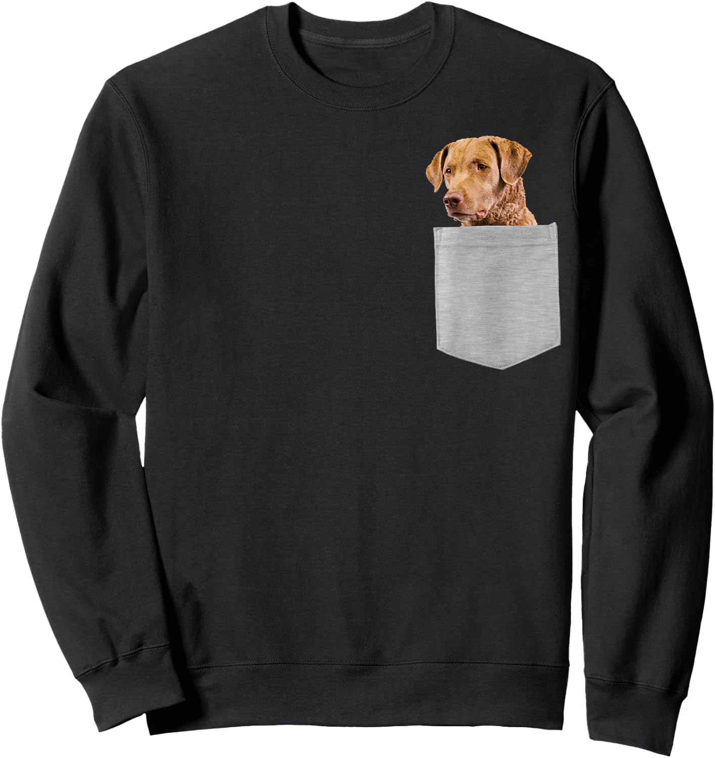Dog in Your Pocket Chesapeake Bay Retriever Sweatshirt - Sweatshirt | Black