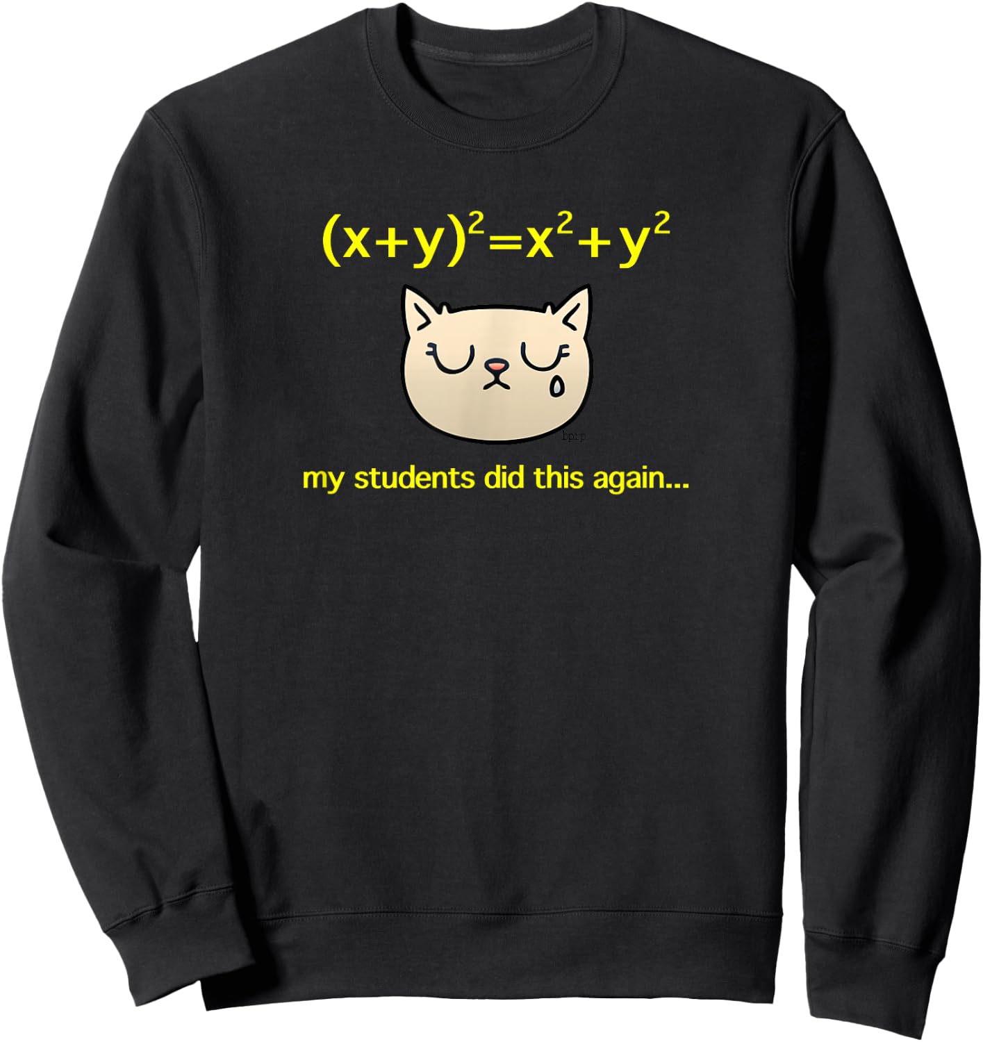 My Students Did (x+y)^2=x^2+y^2 Again, Algebra Math Teacher Sweatshirt - Sweatshirt | Black