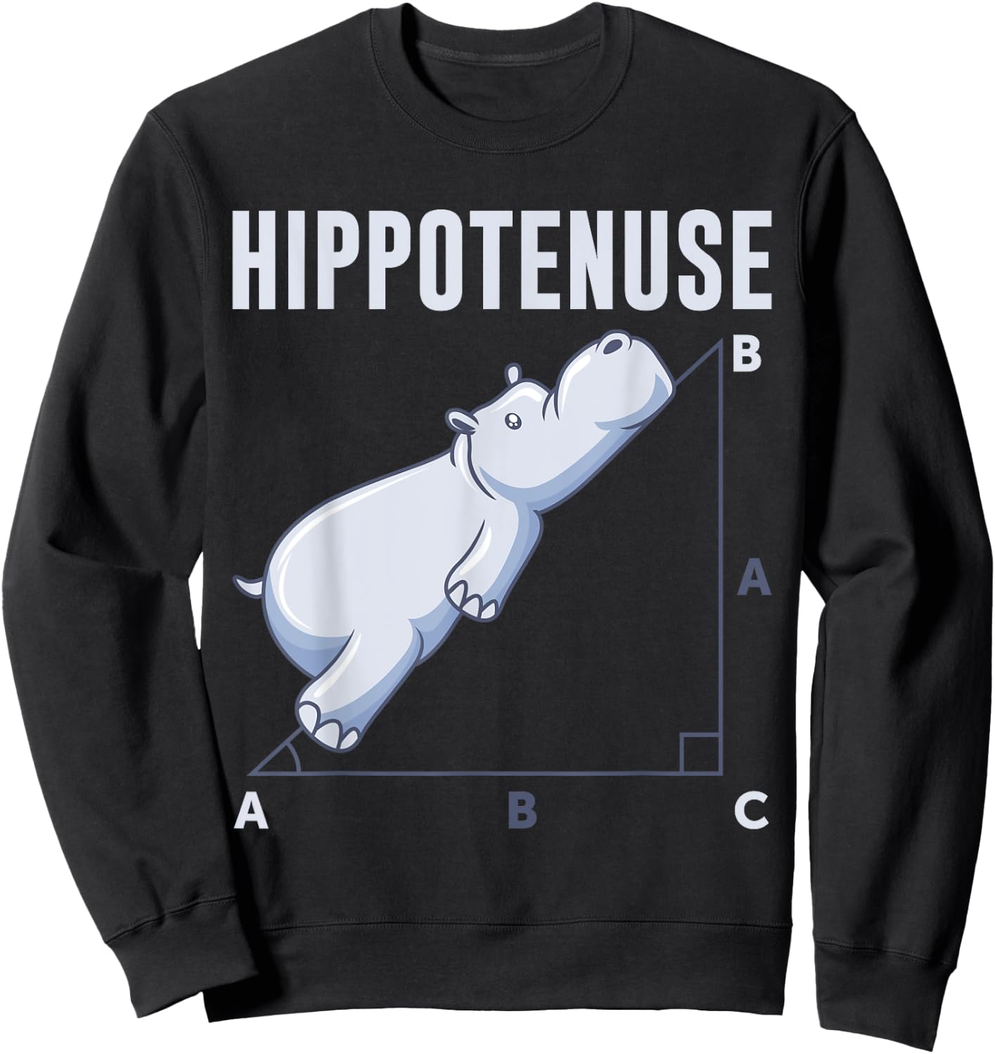 Mathematics Hippotenuse Maths Set of Pythagora's Geometry Sweatshirt - Sweatshirt | Black