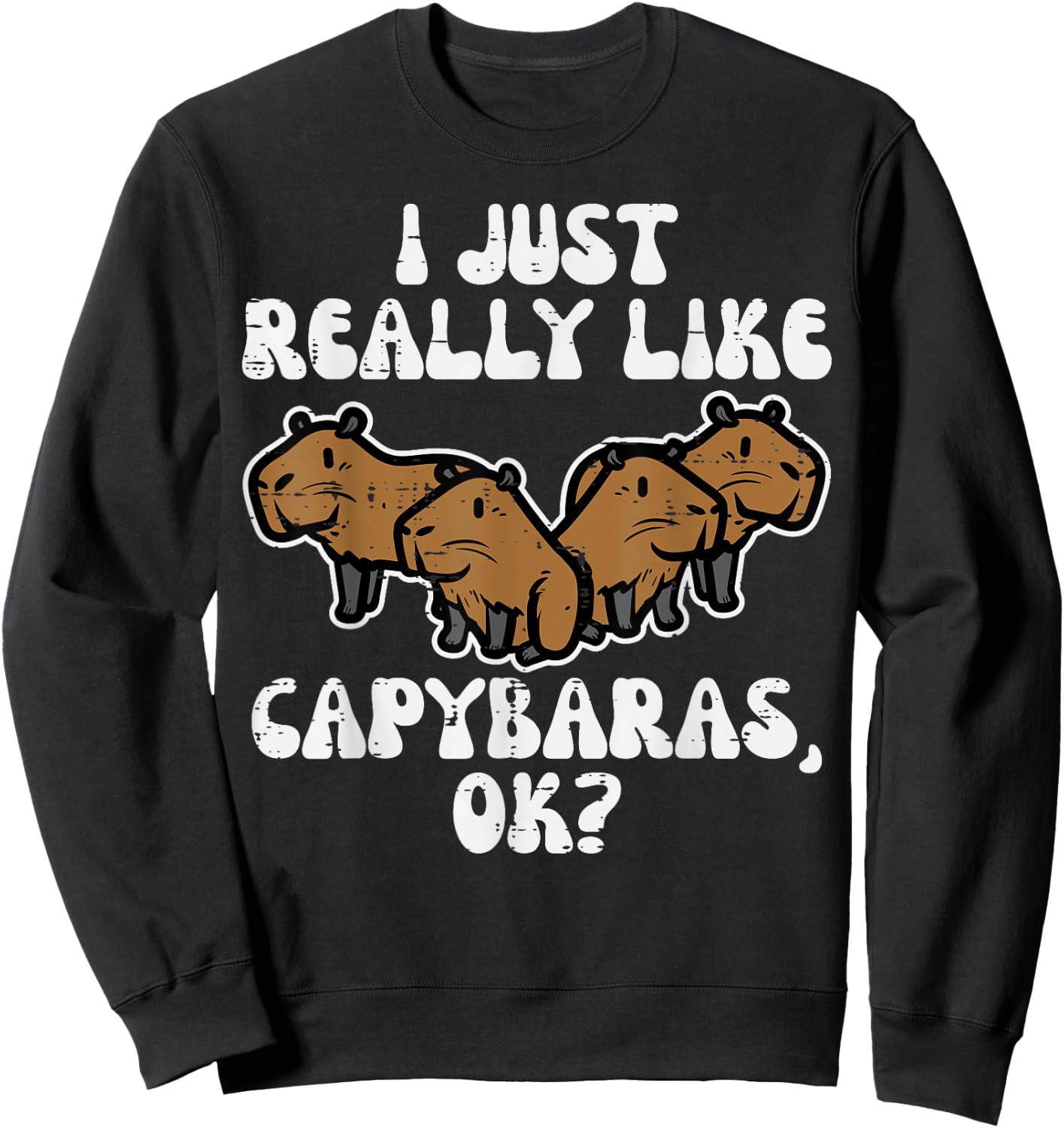 Just Really Like Capybaras Ok Capy Women Girls Kid Youth Men Sweatshirt - Sweatshirt | Black