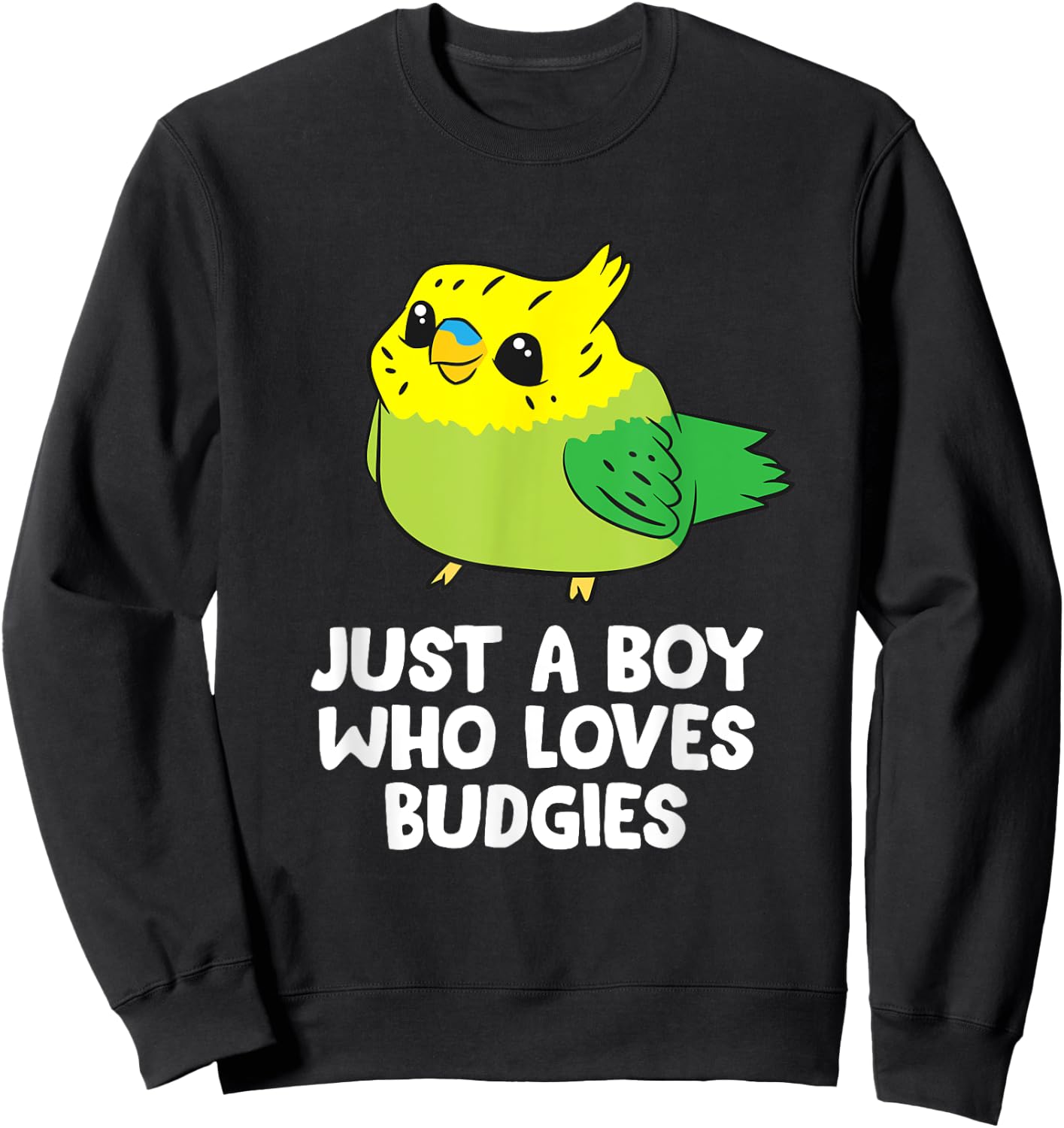 Parakeet Pet Son Just a Boy Who Loves Budgies Sweatshirt - Sweatshirt | Black