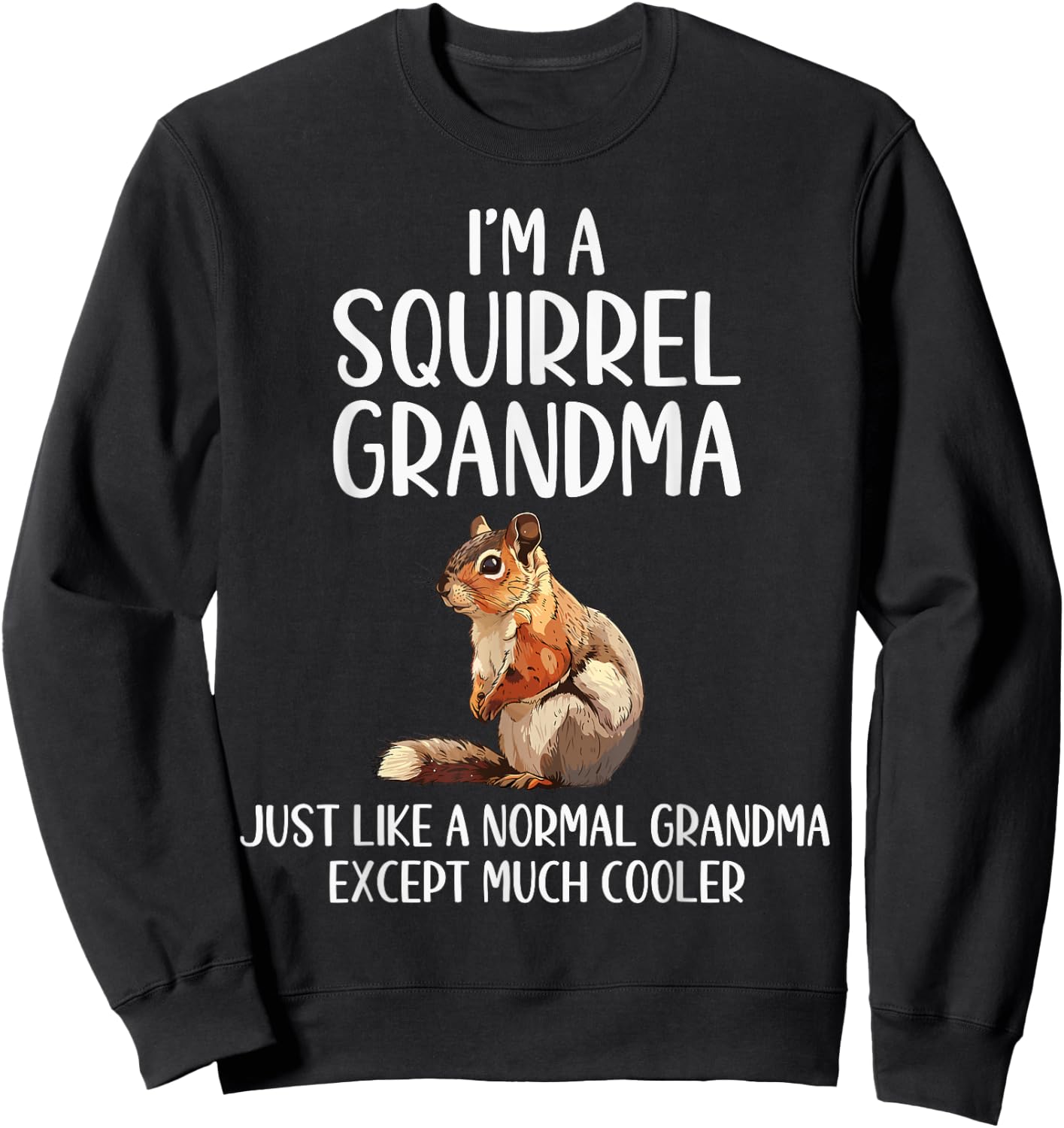 Squirrel Grandma Definition Squirrel Lover Mothers Day Sweatshirt - Sweatshirt | Black