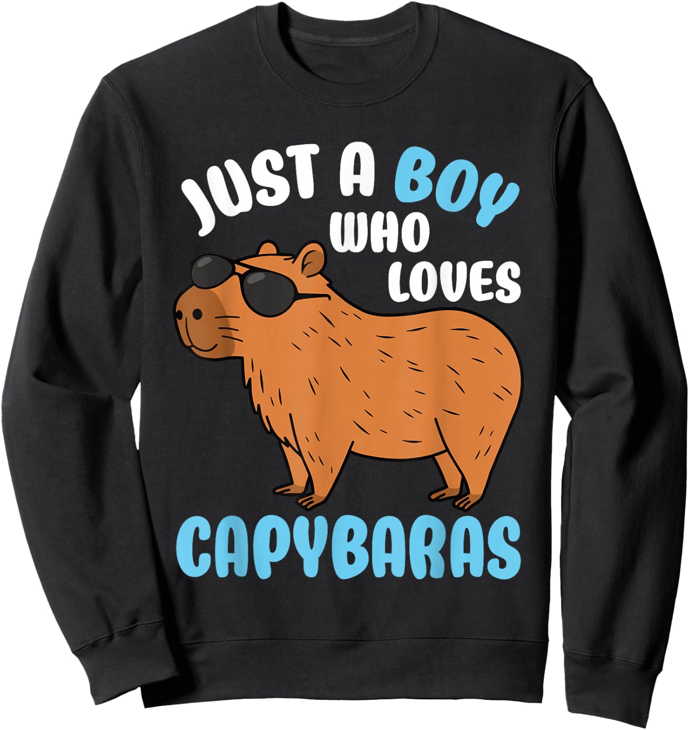 Just A Boy Who Loves Capybaras Rodent Capybara Lover Sweatshirt - Sweatshirt | Black